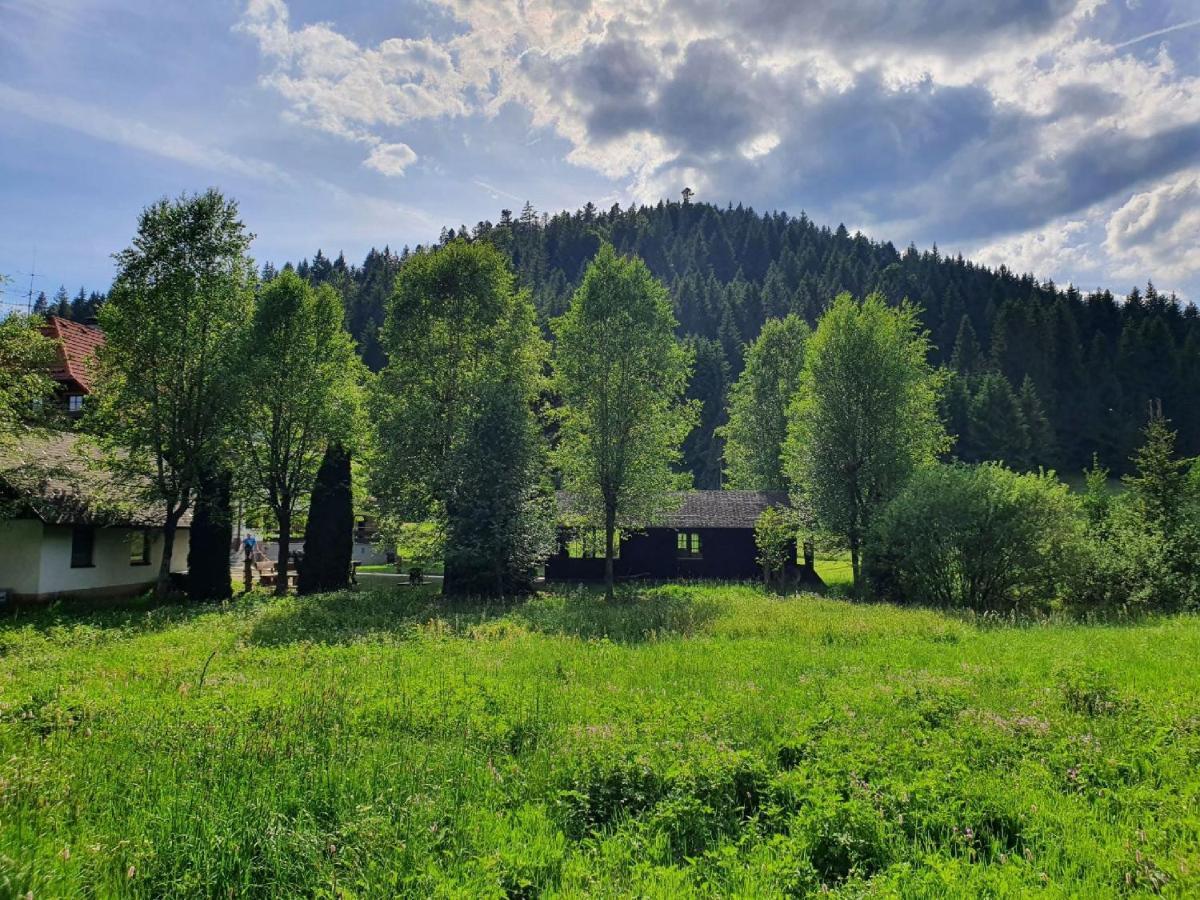 Hotel Finkenhof Schluchsee Exteriér fotografie