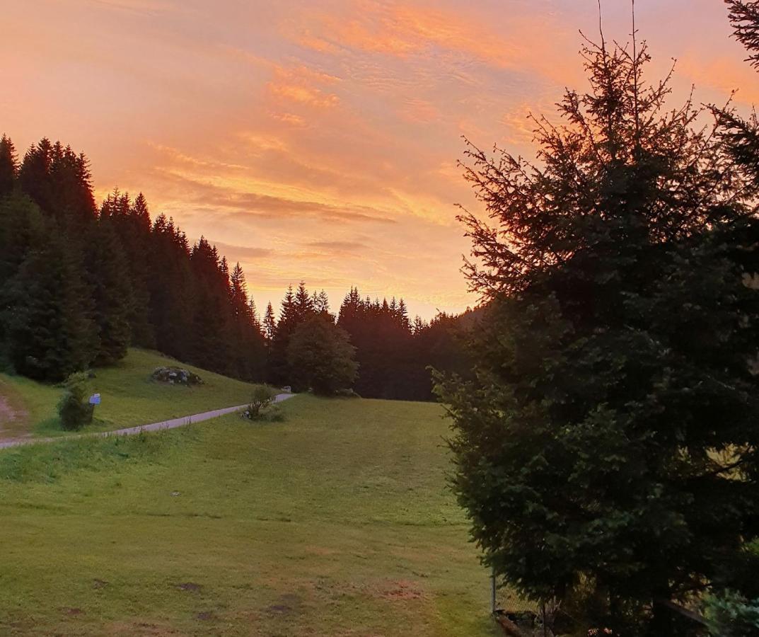Hotel Finkenhof Schluchsee Exteriér fotografie